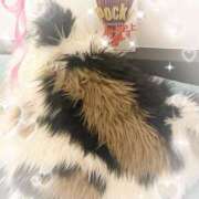 ヒメ日記 2024/12/12 07:31 投稿 うの LOVE KISS（ラブキッス）