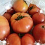 ヒメ日記 2025/01/16 00:02 投稿 うの LOVE KISS（ラブキッス）