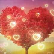 ヒメ日記 2025/03/19 00:11 投稿 うの LOVE KISS（ラブキッス）