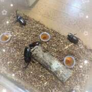 ヒメ日記 2025/08/25 09:46 投稿 うの LOVE KISS（ラブキッス）