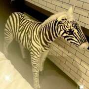 ヒメ日記 2025/09/26 12:05 投稿 うの LOVE KISS（ラブキッス）