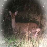 ヒメ日記 2025/10/24 12:12 投稿 うの LOVE KISS（ラブキッス）