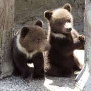 ヒメ日記 2025/11/17 12:35 投稿 うの LOVE KISS（ラブキッス）