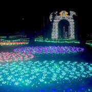 ヒメ日記 2025/12/05 11:31 投稿 うの LOVE KISS（ラブキッス）