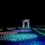 ヒメ日記 2025/12/24 09:31 投稿 うの LOVE KISS（ラブキッス）