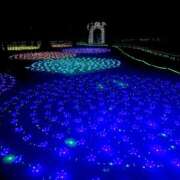 ヒメ日記 2025/12/31 08:46 投稿 うの LOVE KISS（ラブキッス）