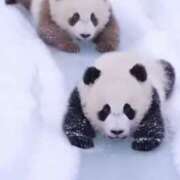 ヒメ日記 2026/01/31 08:16 投稿 うの LOVE KISS（ラブキッス）