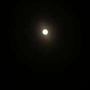 ヒメ日記 2026/02/02 08:26 投稿 うの LOVE KISS（ラブキッス）