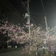 ヒメ日記 2026/03/19 10:17 投稿 うの LOVE KISS（ラブキッス）