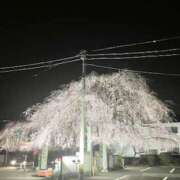 ヒメ日記 2026/03/25 09:29 投稿 うの LOVE KISS（ラブキッス）