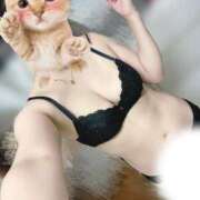 ヒメ日記 2025/10/19 18:01 投稿 なぎさ 夢幻 取手店