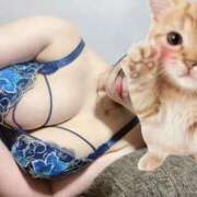 ヒメ日記 2025/11/13 22:02 投稿 なぎさ 夢幻（むげん）