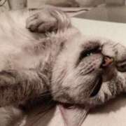 ヒメ日記 2025/01/09 23:28 投稿 りっか 新宿泡洗体デラックスエステ