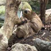 ヒメ日記 2025/03/03 20:52 投稿 ★宇佐美かれん★ CLUB39（クラブサンキュー）