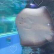 ヒメ日記 2025/04/21 19:27 投稿 ★宇佐美かれん★ CLUB39（クラブサンキュー）