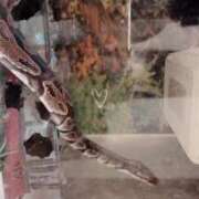 ヒメ日記 2025/05/01 21:42 投稿 ★宇佐美かれん★ CLUB39（クラブサンキュー）