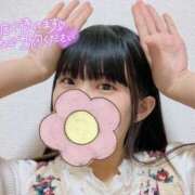 ヒメ日記 2025/03/15 11:32 投稿 りりか 京都出張メンズエステChou Chou（シュシュ)