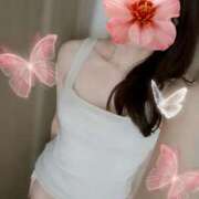 ヒメ日記 2026/03/31 11:47 投稿 ゆめか マダム可憐