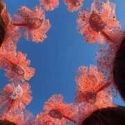 ヒメ日記 2025/10/28 23:58 投稿 緒方　ひまり 未熟な人妻