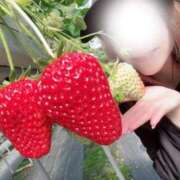 ヒメ日記 2026/03/11 01:48 投稿 緒方　ひまり 未熟な人妻