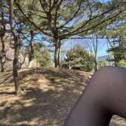 ヒメ日記 2025/02/26 12:41 投稿 平野 誘惑マル秘ミセス