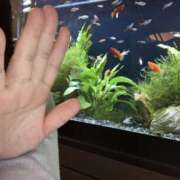 ヒメ日記 2025/03/02 07:57 投稿 平野 誘惑マル秘ミセス