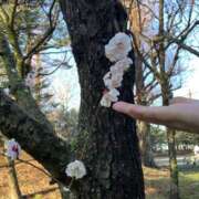 ヒメ日記 2025/03/13 08:10 投稿 平野 誘惑マル秘ミセス