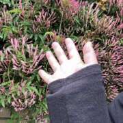 ヒメ日記 2025/04/23 13:03 投稿 平野 誘惑マル秘ミセス