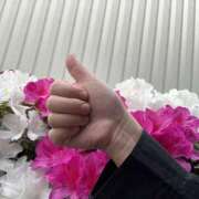 ヒメ日記 2025/04/28 06:45 投稿 平野 誘惑マル秘ミセス