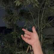 ヒメ日記 2025/05/06 04:22 投稿 平野 誘惑マル秘ミセス