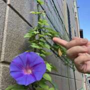 ヒメ日記 2025/06/20 05:20 投稿 平野 誘惑マル秘ミセス