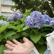 ヒメ日記 2025/07/01 04:39 投稿 平野 誘惑マル秘ミセス