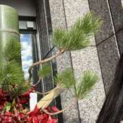 ヒメ日記 2025/12/29 11:29 投稿 平野 誘惑マル秘ミセス