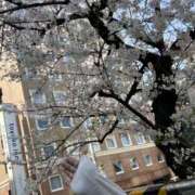 ヒメ日記 2026/03/29 12:53 投稿 平野 誘惑マル秘ミセス