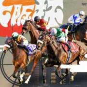 ヒメ日記 2025/04/06 13:27 投稿 のぞみ 西船人妻花壇