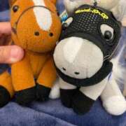 ヒメ日記 2025/09/19 12:19 投稿 のぞみ 西船人妻花壇