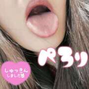 ヒメ日記 2025/09/25 10:09 投稿 のぞみ 西船人妻花壇