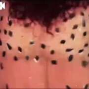 ヒメ日記 2025/05/15 08:14 投稿 新葉 熟女の風俗最終章 横浜本店