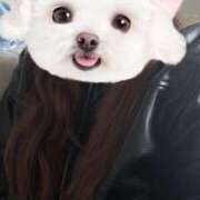 ヒメ日記 2025/03/16 18:54 投稿 すみれ ばつぐん素人プロダクション