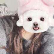 ヒメ日記 2025/03/18 16:27 投稿 すみれ ばつぐん素人プロダクション