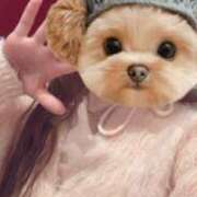 ヒメ日記 2025/03/27 14:59 投稿 すみれ ばつぐん素人プロダクション