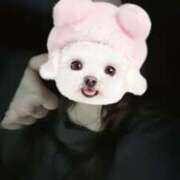 ヒメ日記 2025/03/28 20:41 投稿 すみれ ばつぐん素人プロダクション