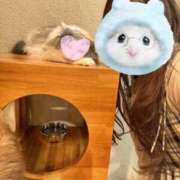 ヒメ日記 2025/05/10 12:13 投稿 すみれ ばつぐん素人プロダクション