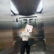 ヒメ日記 2025/06/07 14:48 投稿 すみれ ばつぐん素人プロダクション