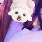 ヒメ日記 2025/11/09 12:02 投稿 すみれ ばつぐん素人プロダクション