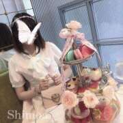 ヒメ日記 2025/02/19 22:45 投稿 しもあ コルドンブルー