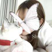 ヒメ日記 2025/02/24 00:45 投稿 しもあ コルドンブルー