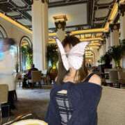 ヒメ日記 2025/03/08 11:05 投稿 しもあ コルドンブルー