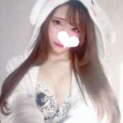 ヒメ日記 2025/03/27 00:35 投稿 しもあ コルドンブルー