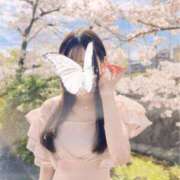 ヒメ日記 2025/03/30 11:15 投稿 しもあ コルドンブルー